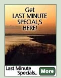 Click here for last minute specials!